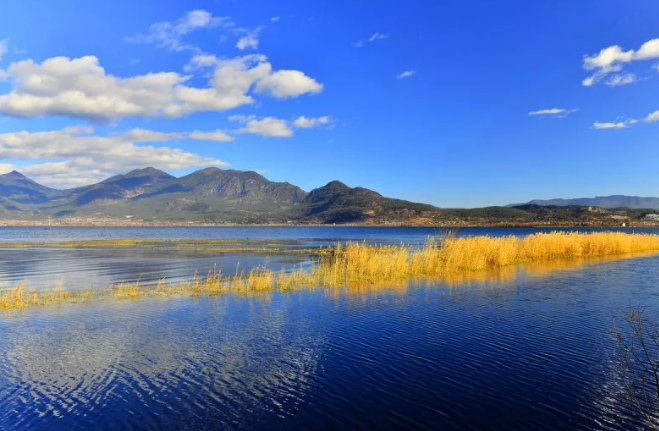 湿地公园规划案例