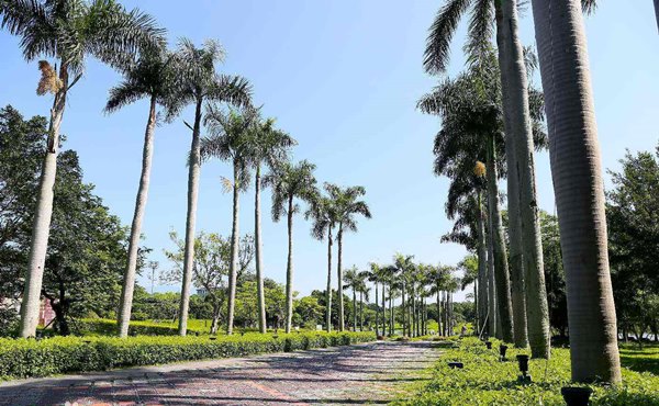 体育运动公园规划设计案例启示