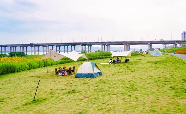 露营基地规划设计案例-肇庆江滨公园